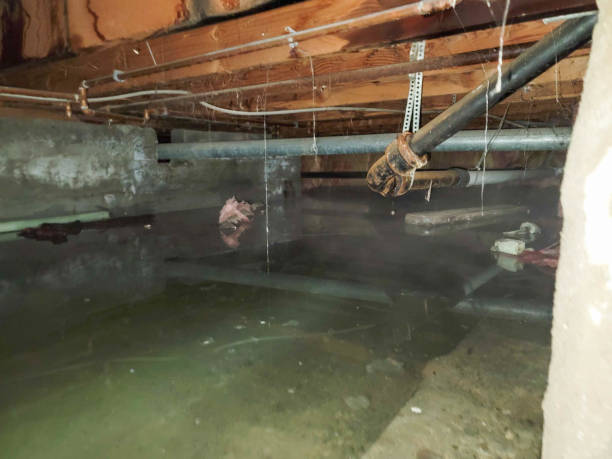 24/7 water damage repair in AR