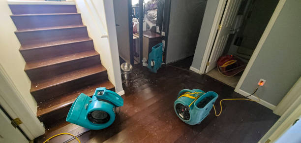 Best 24/7 water damage repair  in Des C, AR