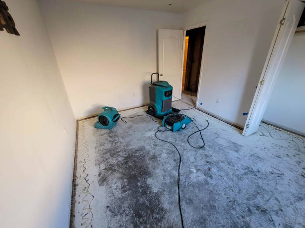 Best Ceiling water damage repair  in Des C, AR