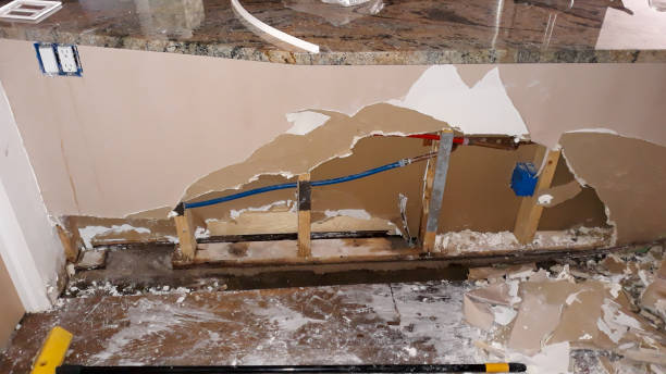Best Ceiling water damage repair  in Des C, AR