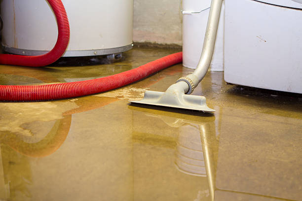 Best Water damage restoration near me  in Des C, AR