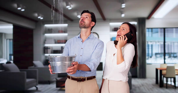 Best Water damage restoration near me  in Des C, AR